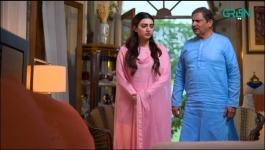 Shehzadi House - Episode 09